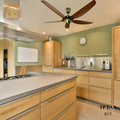 QUẠT TRẦN TP FAN 815 (LẮP ĐẶT MIỄN PHÍ)