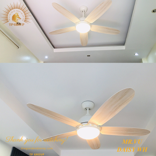 QUẠT TRẦN DAISY WH