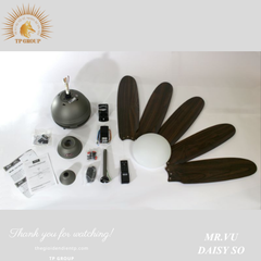 QUẠT TRẦN DAISY SO