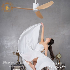 QUẠT TRẦN SKY WH LED