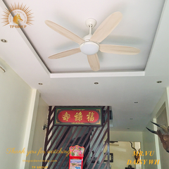 QUẠT TRẦN DAISY WH