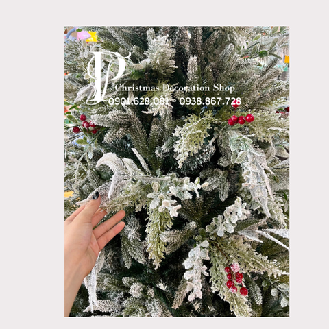 CÂY THÔNG ĐẦU NHỌN 5 LOẠI LÁ PHỦ TUYẾT GẮN TRÁI ĐỎ - CÂY TỰ ĐỘNG