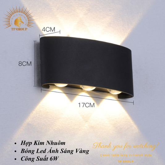 ĐÈN HẮT TƯỜNG HIỆN ĐẠI CTL-2617-6B