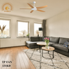 QUẠT TRẦN TP FAN 131KD (LẮP ĐẶT MIỄN PHÍ)