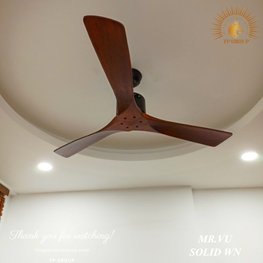 QUẠT TRẦN SOLID WN