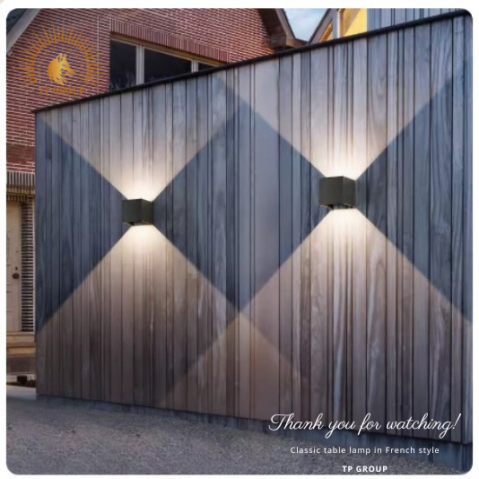 ĐÈN TREO TƯỜNG HIỆN ĐẠI CTL901