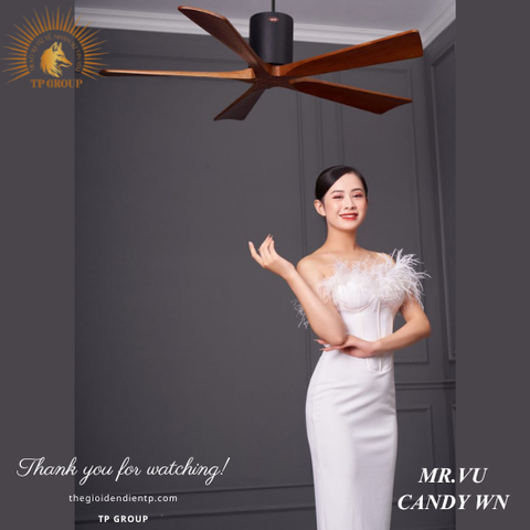 QUẠT TRẦN CANDY WN