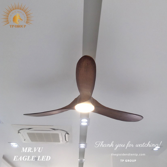 QUẠT TRẦN EAGLE LED
