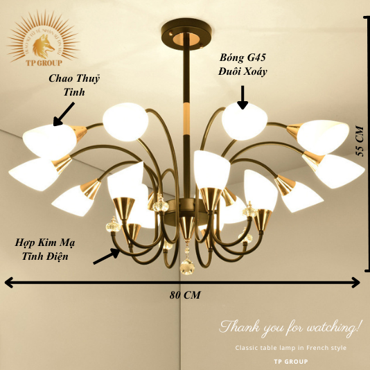 ĐÈN CHÙM HIỆN ĐẠI CCH-1391-15