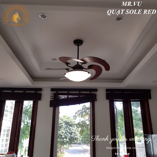 QUẠT SOLE RED (MIỄN PHÍ LẮP ĐẶT)