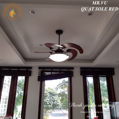 QUẠT SOLE RED (MIỄN PHÍ LẮP ĐẶT)