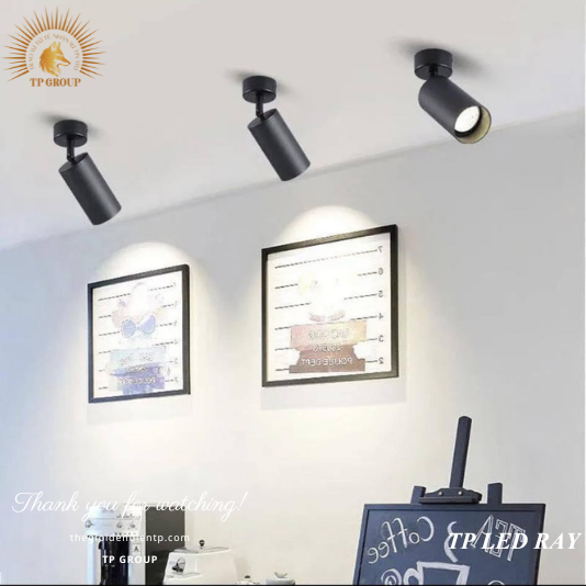 ĐÈN RỌI TP LED RAY