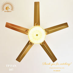 QUẠT TRẦN TP FAN 107 (LẮP ĐẶT MIỄN PHÍ)
