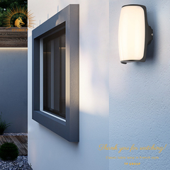 ĐÈN HẮT GẮN TƯỜNG LED CTL-2613