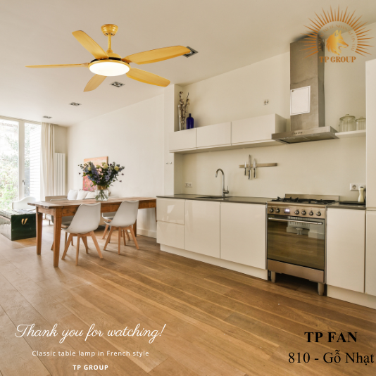 QUẠT TRẦN TP FAN 810 (LẮP ĐẶT MIỄN PHÍ)