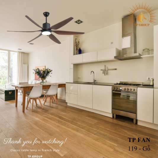 QUẠT TRẦN TP FAN 119 (LẮP ĐẶT MIỄN PHÍ)