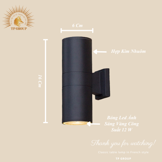 ĐÈN HẮT TƯỜNG CTL-2620-D