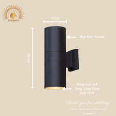 ĐÈN HẮT TƯỜNG CTL-2620-D