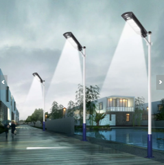 Đèn Đường 60W Liễn Thể NLMT