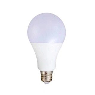 Bóng Bulb 12W DSY