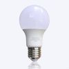 Bóng Bulb 7W ENA