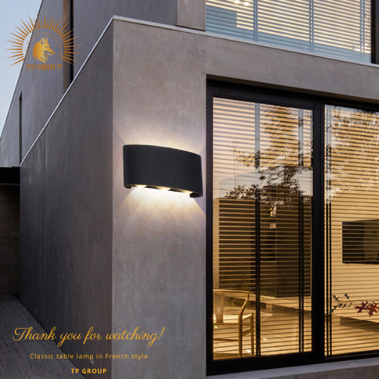 ĐÈN HẮT TƯỜNG HIỆN ĐẠI CTL-2617-6B