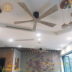 QUẠT TRẦN CANDY GWO