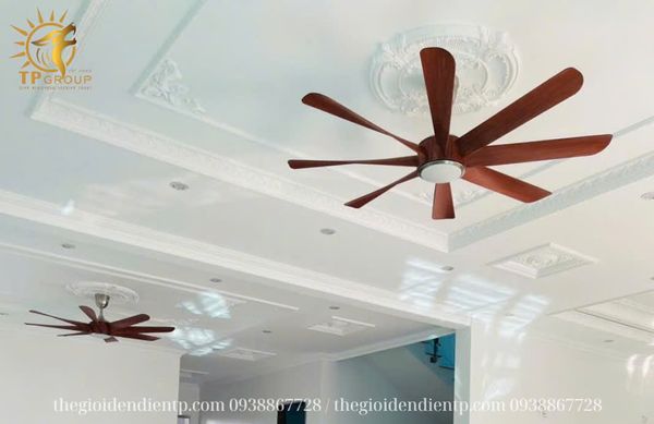 QUẠT TRẦN FERGUS 888 (LẮP ĐẶT MIỄN PHÍ)