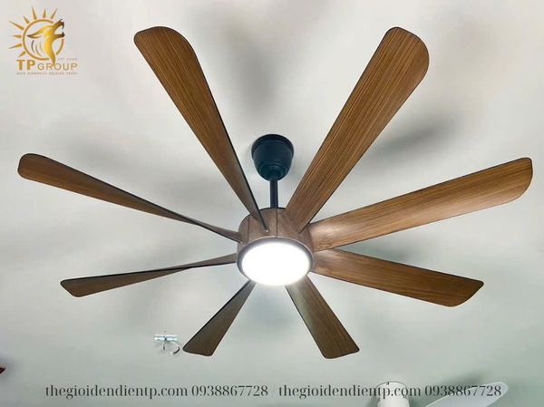 QUẠT TRẦN FERGUS 888 (LẮP ĐẶT MIỄN PHÍ)