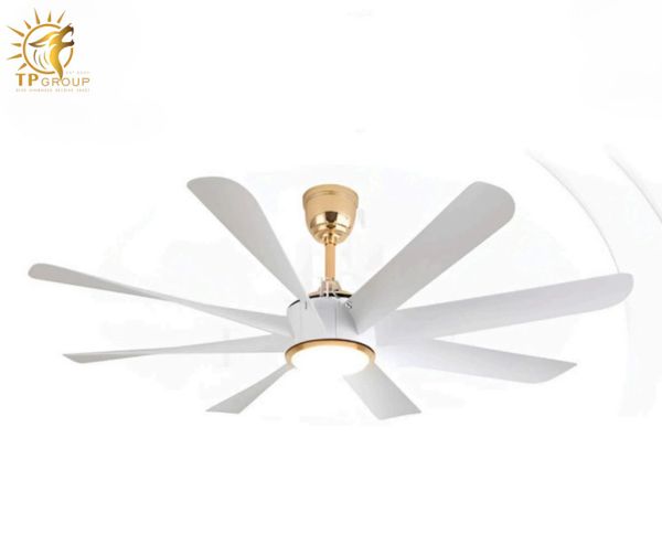 QUẠT TRẦN FERGUS 888 (LẮP ĐẶT MIỄN PHÍ)