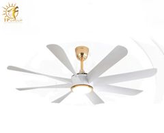 QUẠT TRẦN FERGUS 888 (LẮP ĐẶT MIỄN PHÍ)