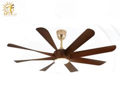 QUẠT TRẦN FERGUS 888 (LẮP ĐẶT MIỄN PHÍ)