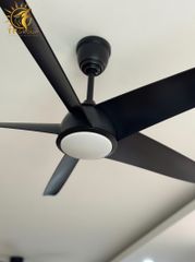 QUẠT TRẦN FERGUS 999 (LẮP ĐẶT MIỄN PHÍ)