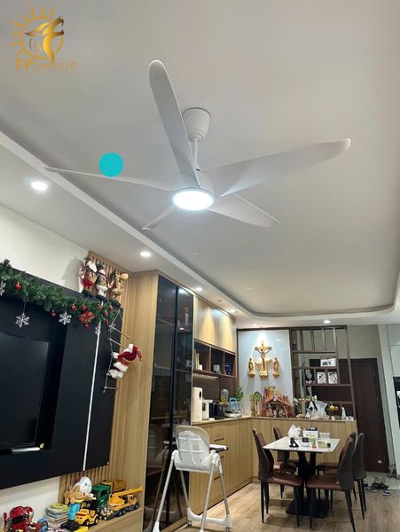 QUẠT TRẦN FERGUS 999 (LẮP ĐẶT MIỄN PHÍ)