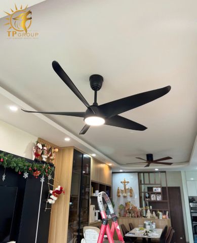 QUẠT TRẦN FERGUS 999 (LẮP ĐẶT MIỄN PHÍ)