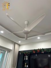 QUẠT TRẦN FERGUS 999 (LẮP ĐẶT MIỄN PHÍ)