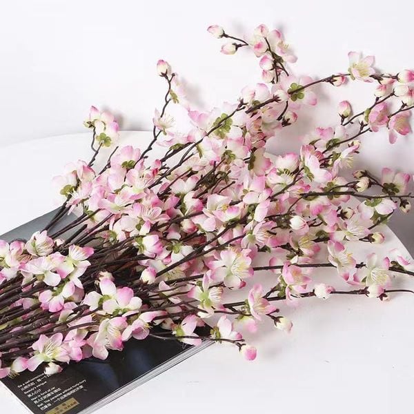 CÀNH HOA ĐÀO, MAI TÂY CAO CẤP