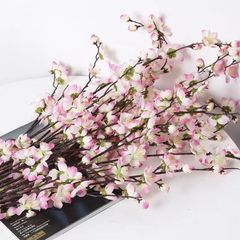 CÀNH HOA ĐÀO, MAI TÂY CAO CẤP