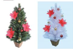 CÂY THÔNG LOẠI 2 LÁ MINI