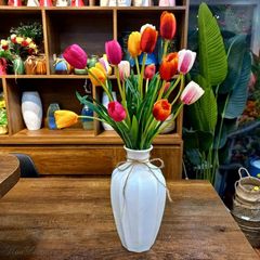 HOA TULIP - CAO SU NON