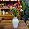 HOA TULIP - CAO SU NON