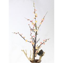 Cành Đào Cao Cấp Lớn Trang Trí Tết (110cm)