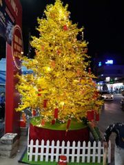 CÂY HOA MAI GIẢ ĐỦ SIZE