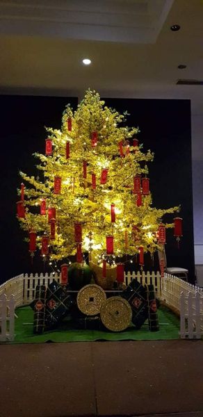 CÂY HOA MAI GIẢ ĐỦ SIZE