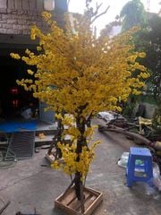 CÂY HOA MAI GIẢ ĐỦ SIZE