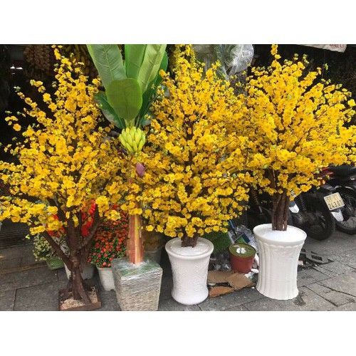 CÂY HOA MAI GIẢ ĐỦ SIZE