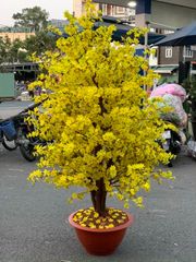 CÂY HOA MAI GIẢ ĐỦ SIZE