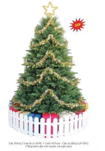 CÂY THÔNG 3 LOẠI LÁ PE + CƯỚC NỞ HOA