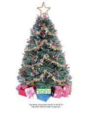 CÂY THÔNG 3 LOẠI LÁ TÁN XÒE CÓ GẮN TRÁI ĐỎ