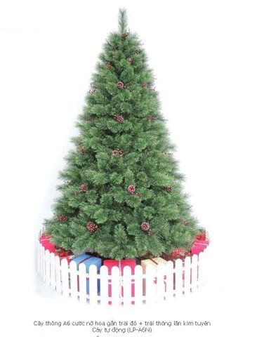 CÂY THÔNG A6 CƯỚC NỞ HOA GẮN TRÁI ĐỎ + TRÁI THÔNG LĂN KIM TUYẾN - CÂY TỰ ĐỘNG
